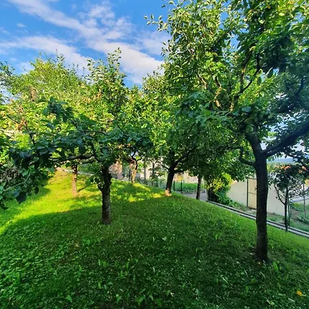 Apartmaji Marko *